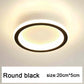 LED Strip Aisle Ceiling Lights Modern Living Room Lamps For Balcony Entrance Staircase Home Decor Indoor lighting