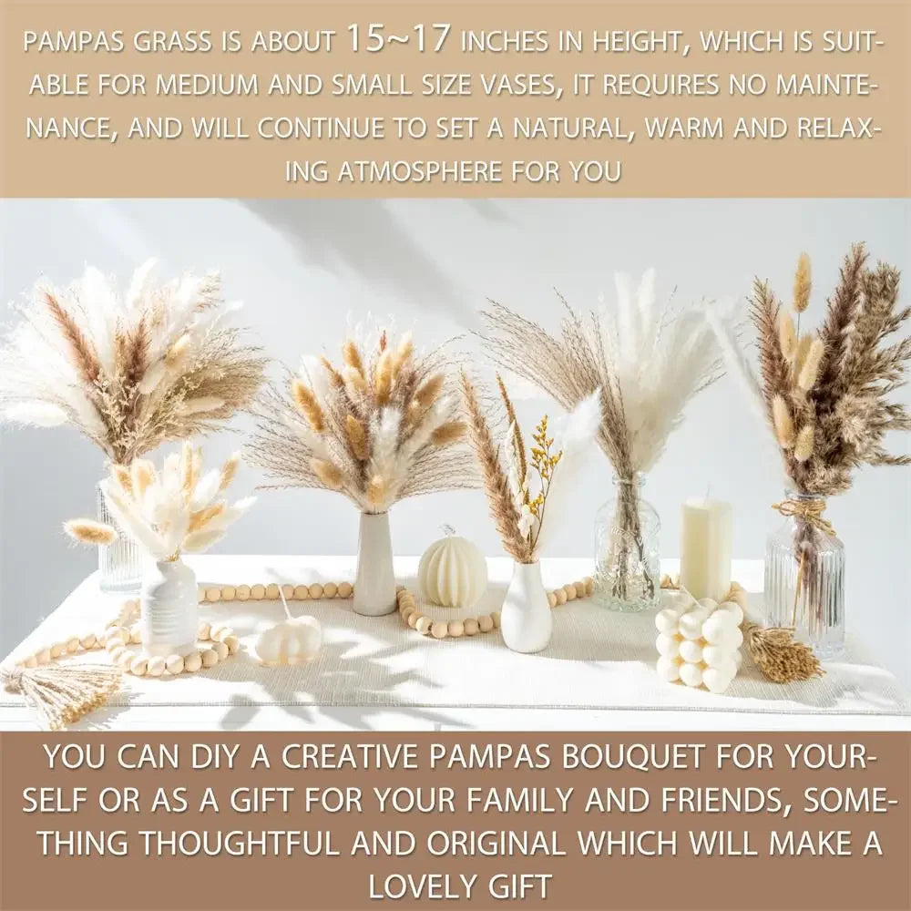 Natural Dried Flowers Pampas Floral Bouquet Home Decoration Rabbit Tail Grass Reed Wedding Decor