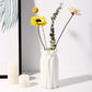 Vase Simple Small Fresh Flower Pot  Modern Home Decorations