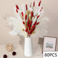 Natural Dried Flowers Pampas Floral Bouquet Home Decoration Rabbit Tail Grass Reed Wedding Decor