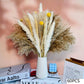 Natural Dried Flowers Pampas Floral Bouquet Home Decoration Rabbit Tail Grass Reed Wedding Decor