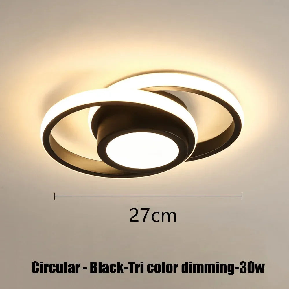 LED Strip Aisle Ceiling Lights Modern Living Room Lamps For Balcony Entrance Staircase Home Decor Indoor lighting
