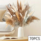 Natural Dried Flowers Pampas Floral Bouquet Home Decoration Rabbit Tail Grass Reed Wedding Decor
