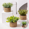 XIYA FLOWER Green Artificial Plants