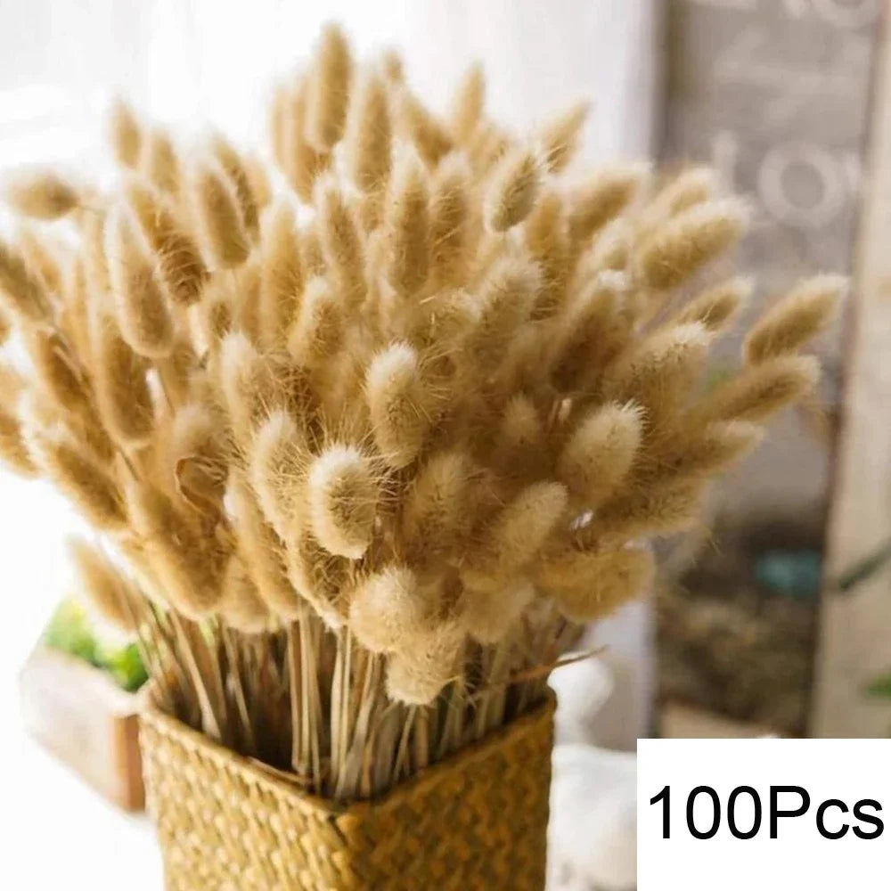Natural Dried Flowers Pampas Floral Bouquet Home Decoration Rabbit Tail Grass Reed Wedding Decor