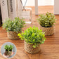 XIYA FLOWER Green Artificial Plants