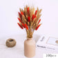 Dried Natural Flowers Pampas Bouquet Sets Autumn Decorative Orange Gypsophila Rabbit Tail Grass Rustic Chic Home Decor for Vase