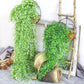 Artificial Admiralty Willow Wall Hanging Flower Vine Faux Wreath Fake Garland Leaf Home Garden Balcony Decor
