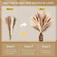 Natural Dried Flowers Pampas Floral Bouquet Home Decoration Rabbit Tail Grass Reed Wedding Decor